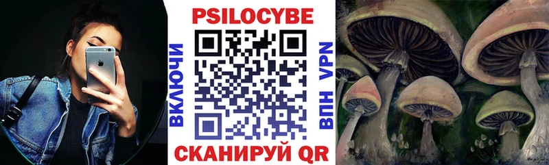 Псилоцибиновые грибы Cubensis  Купить где  Кудрово 